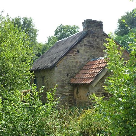 Qui Vivra Verra Le Mesnil-Amey Exterior foto